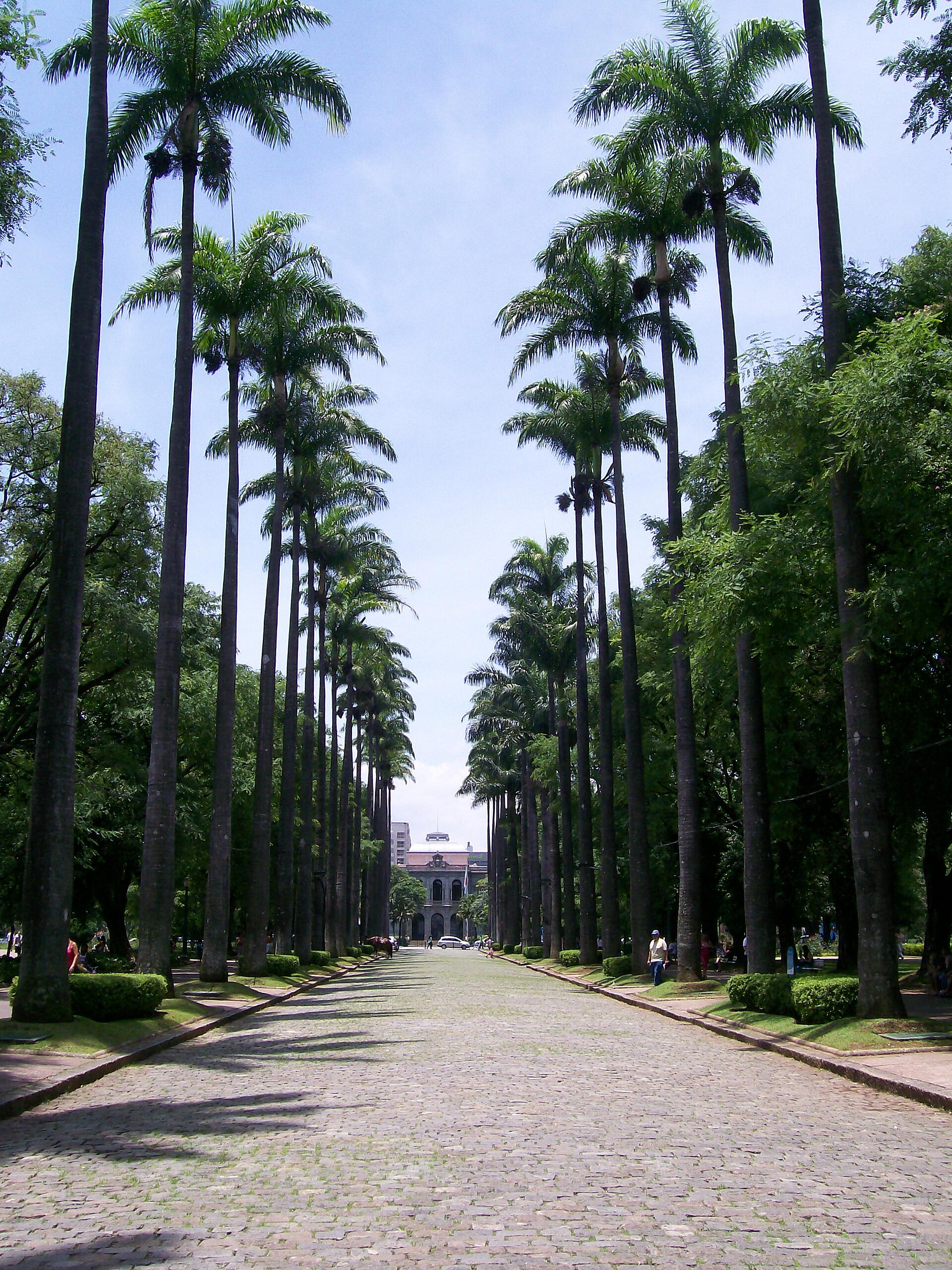 São Paulo x Belo Horizonte